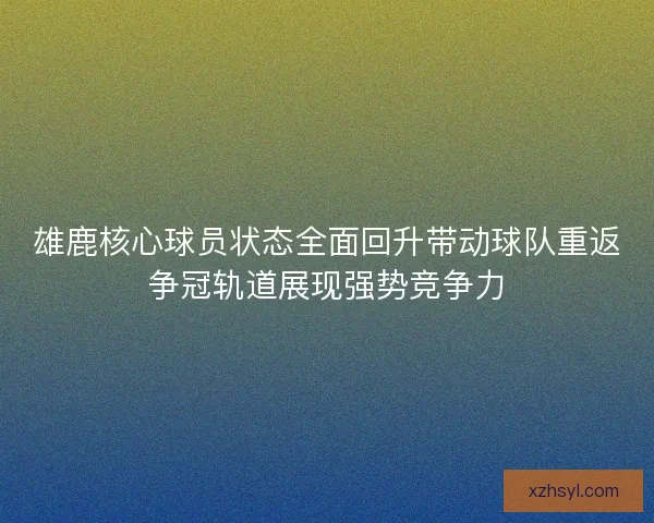 雄鹿核心球员状态全面回升带动球队重返争冠轨道展现强势竞争力